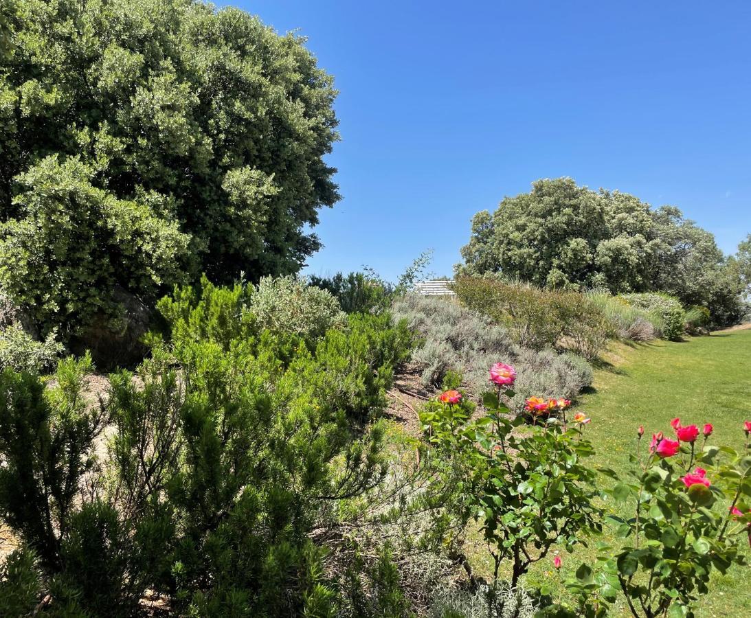 El Encinar De Gabino Villa Zarzuela del Monte Eksteriør billede
